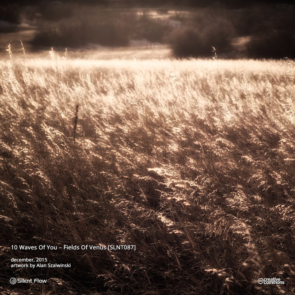 10 Waves Of You – Fields Of Venus