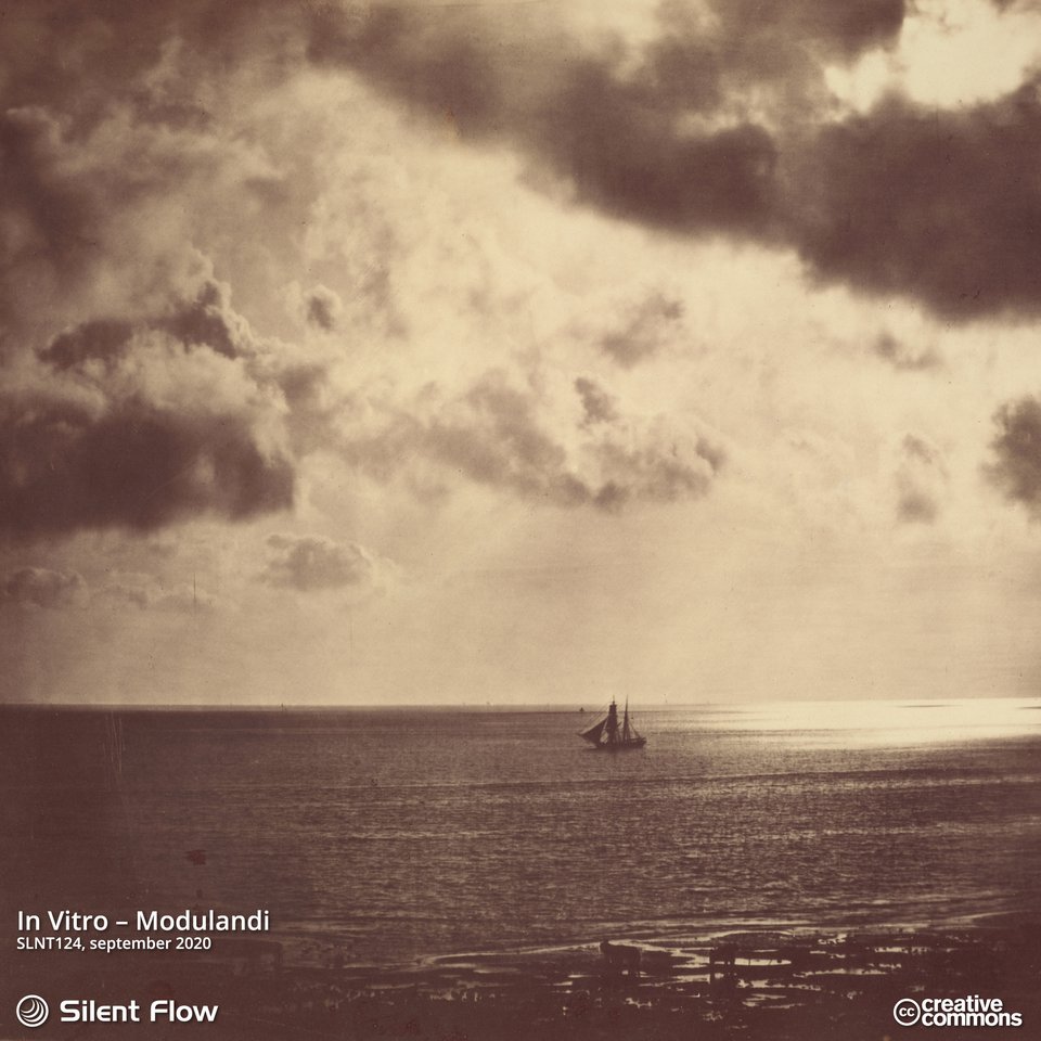 In Vitro – Modulandi