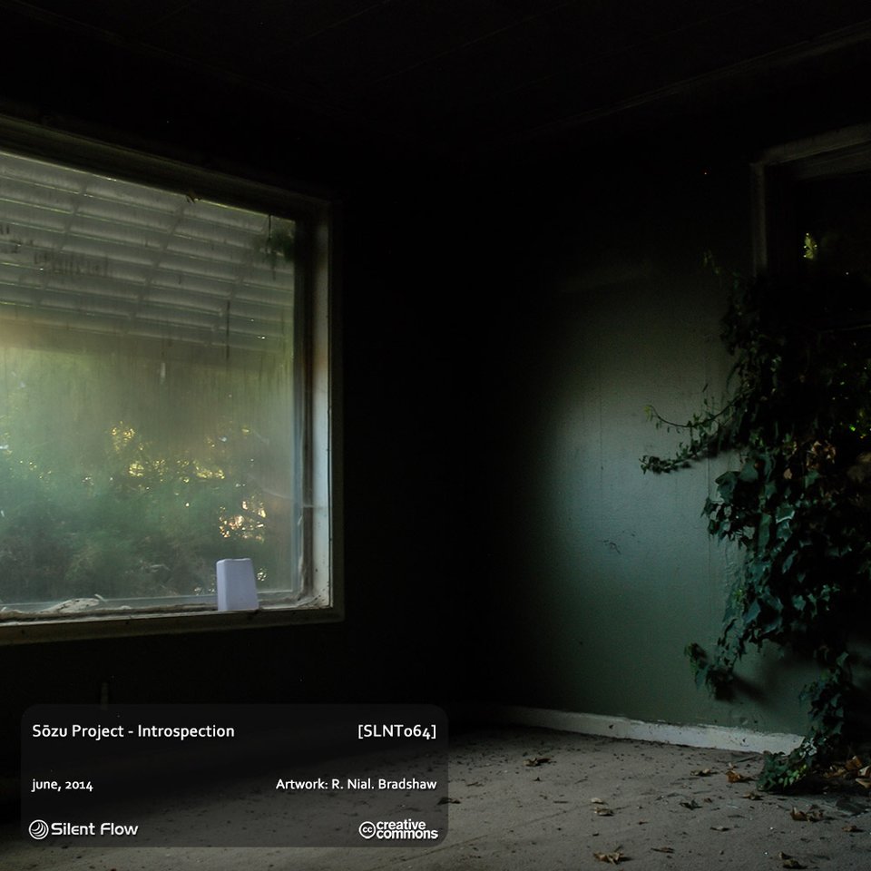 Sozu Project – Introspection
