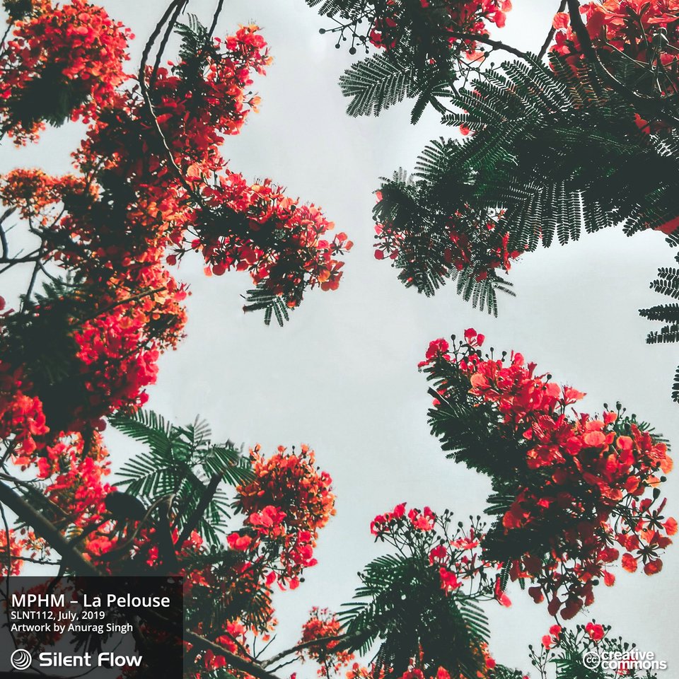 MPHM – La Pelouse