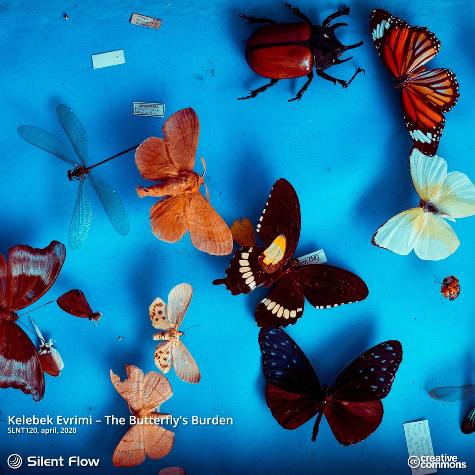 Kelebek Evrimi – The Butterfly's Burden