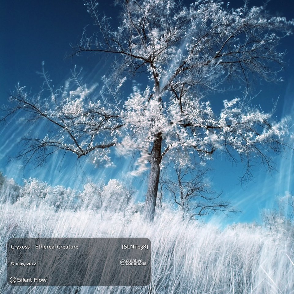 Cryxuss – Ethereal Creature