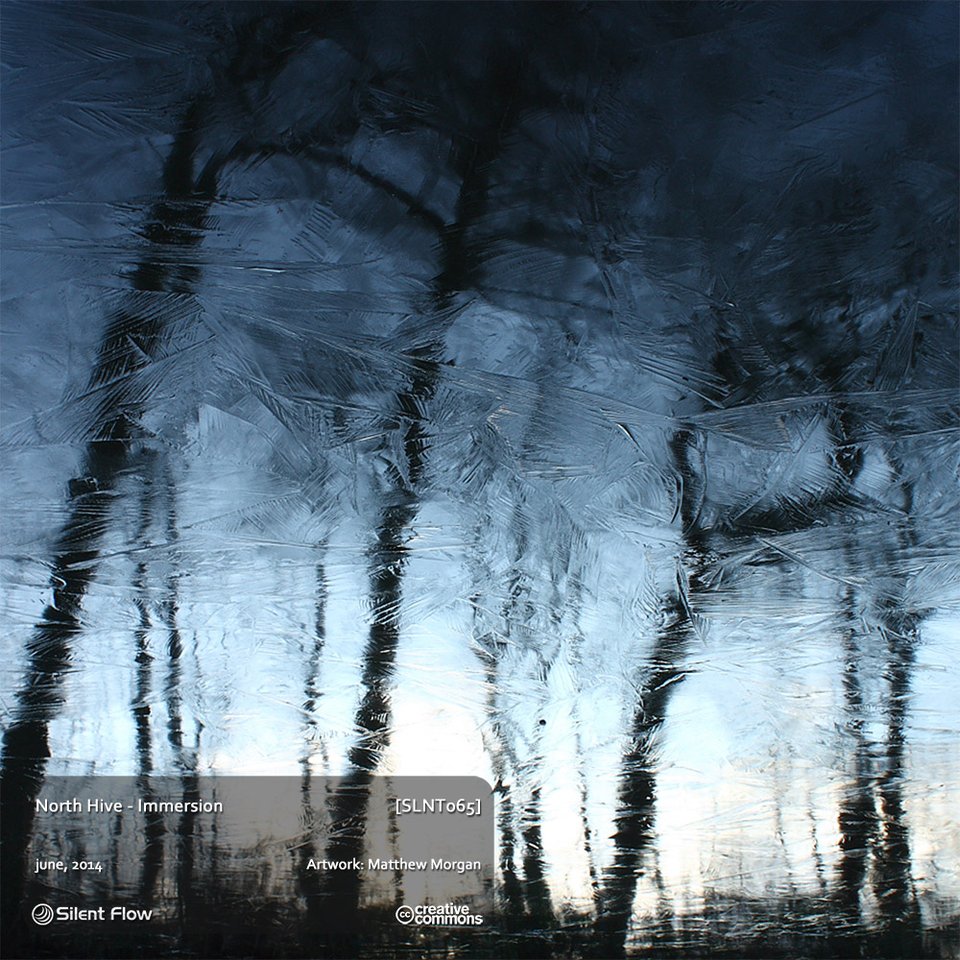 North Hive – Immersion