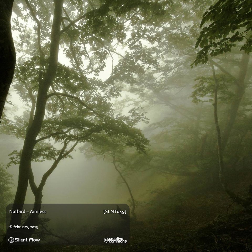 Natbird – Aimless