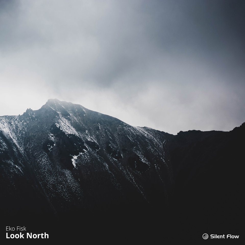 Eko Fisk – Look North